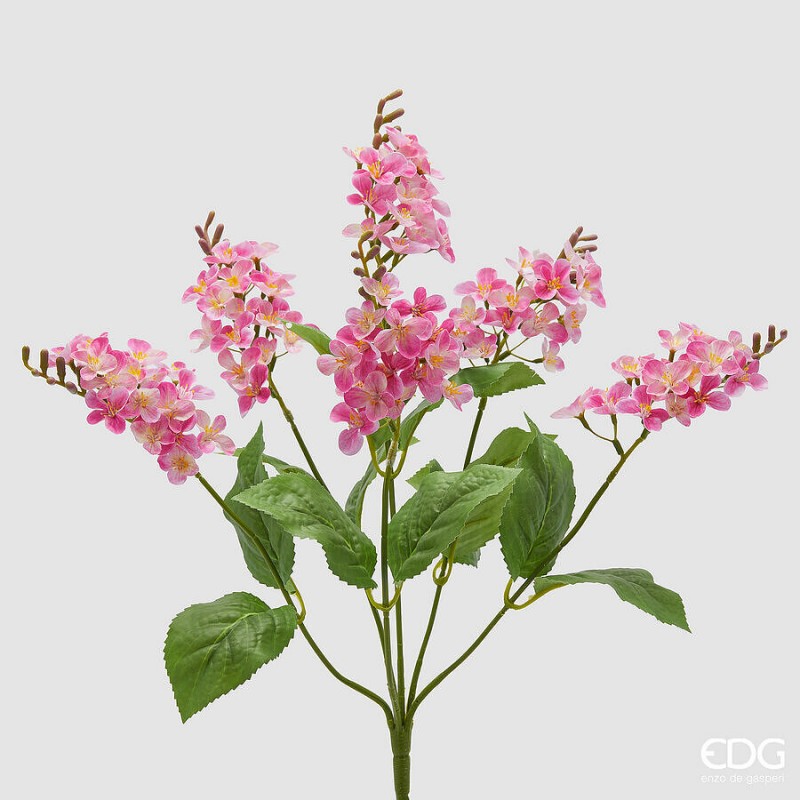 Lilla Cespuglio con foglie H.50  | Enzo De Gasperi